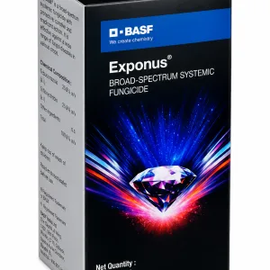 Exponus