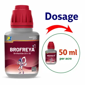 Brofreya