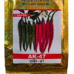 Advanta AK-47 Golden Chilli Seeds SIZE 10Gm
