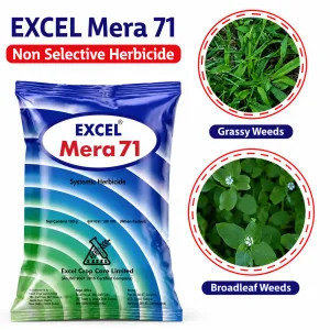 Excel Mera 71