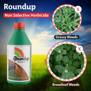 Roundup Herbicide (Glyphosate 41%) - 1 Ltr