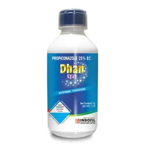 Dhan