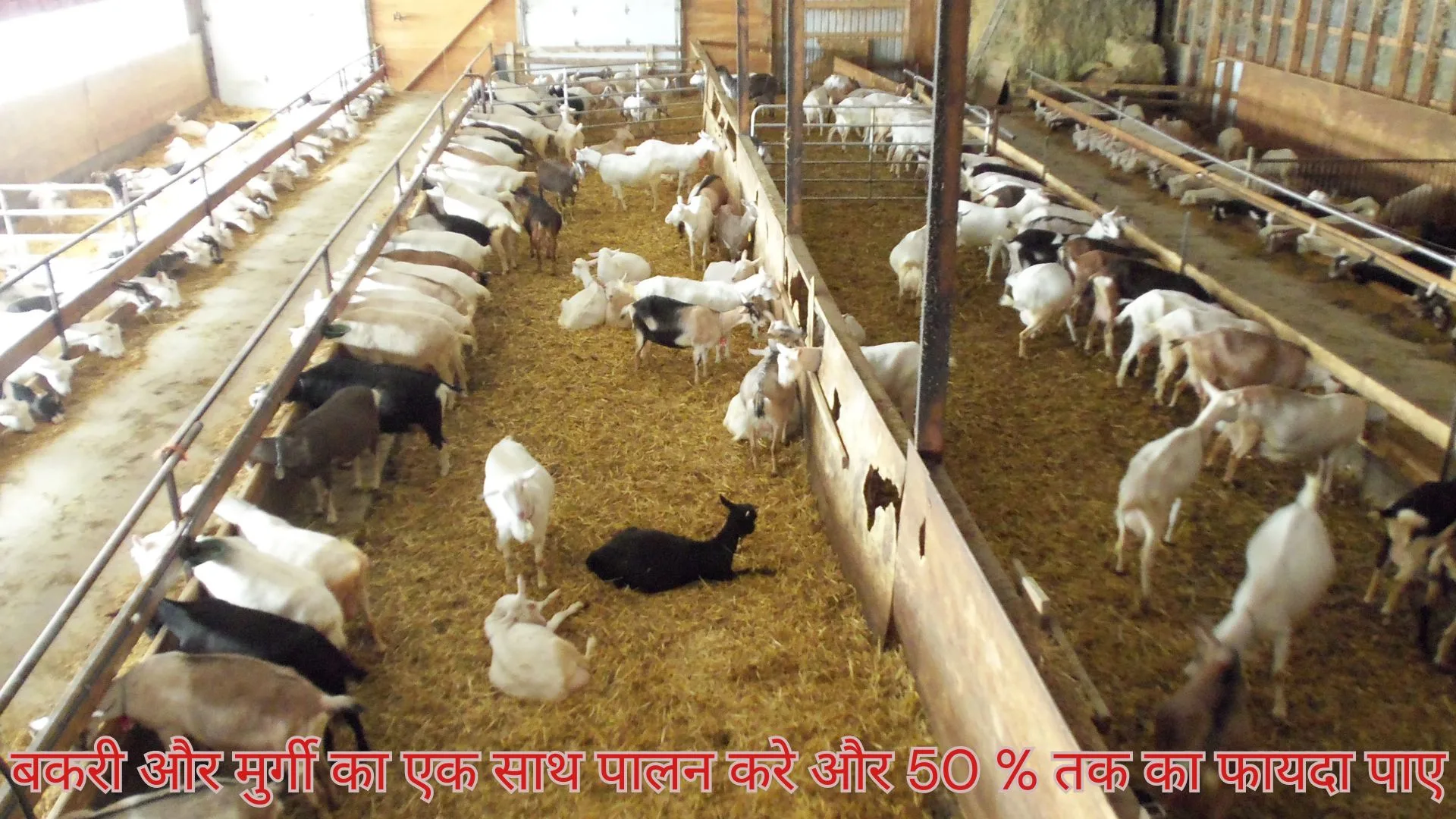 इंटीग्रेटेड फार्मिंग सिस्टम (IFS) संयुक्त पशुपालन से आय बढ़ाना"