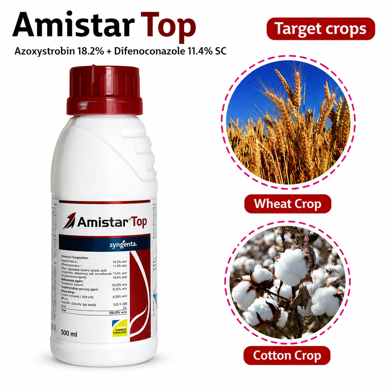 AMISTAR TOP
