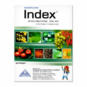 Index Nagarjuna