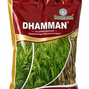 Dhamman 5kg