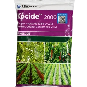 KOCIDE 2000