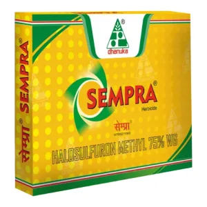 SEMPRA