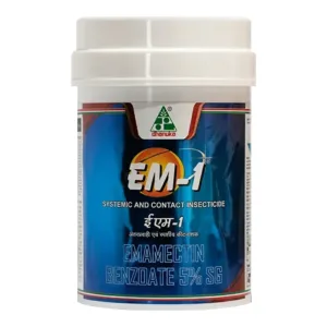 EM 1