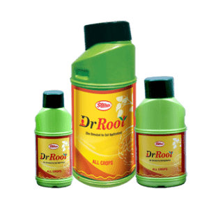 DR. ROOT
