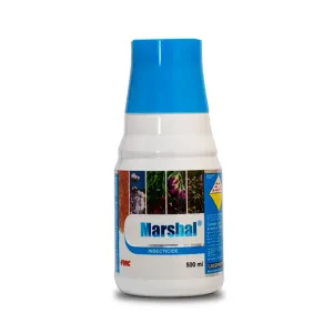 Marshal