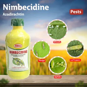 Nimbecidine  300 PPM ( Neem oil )