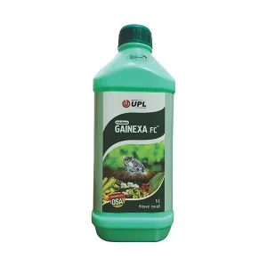 Gainexa FC