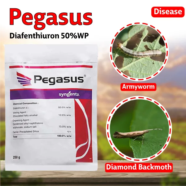 Paragon Insecticide Pegasus - Insecticide Diafenthiuron 50% WP