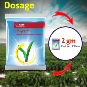 POLYRAM