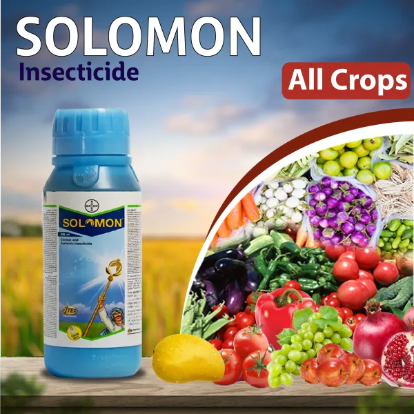 Colombo 12 Insecticid Solomon - Insecticide Beta-Cyfluthrin + Imidacloprid 300 OD