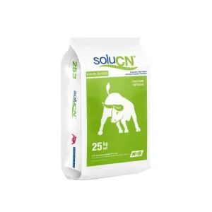 SoluCN