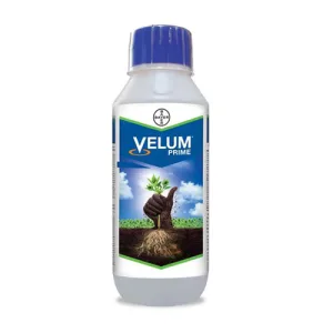 VELUM PRIME