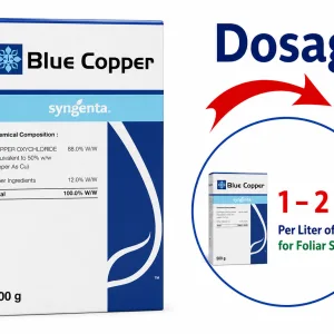 BLUE COPPER