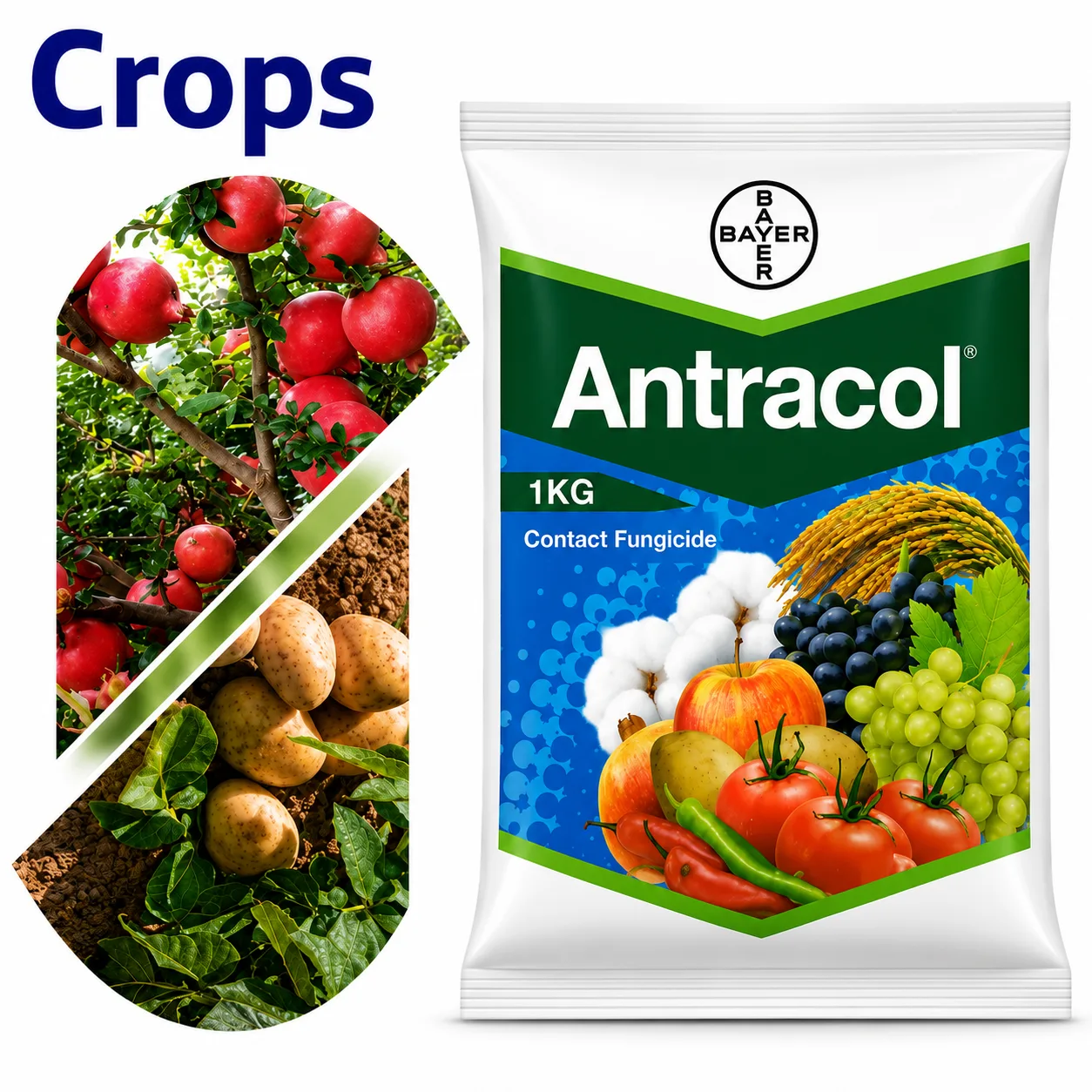 ANTRACOL