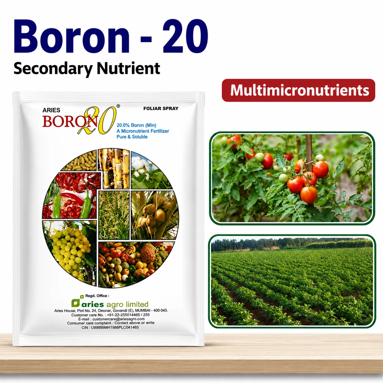 Aries Boron-20