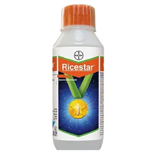 RICESTAR