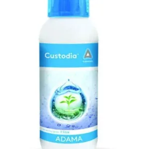 CUSTODIA