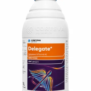 Delegate