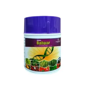Bahaar - TATA