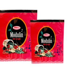 MODULIN - T. STANES