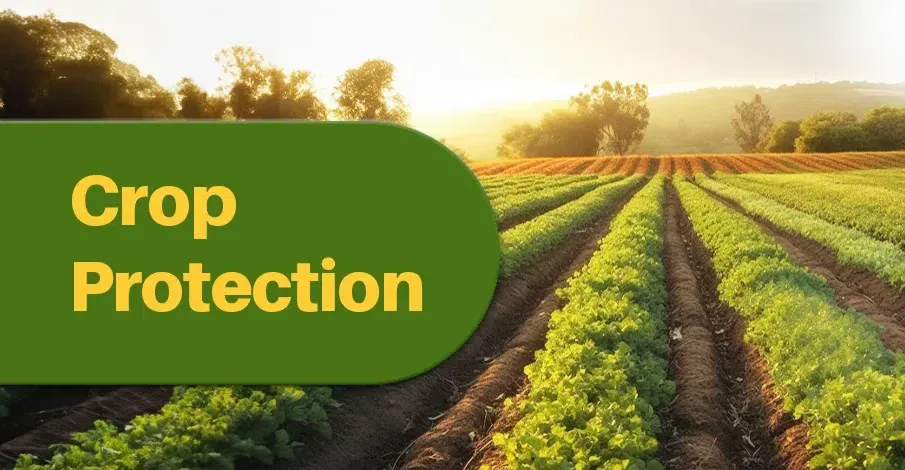 Crop Protection
