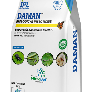 Daman Beauveria Bassiana