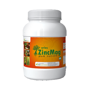 Zincmag