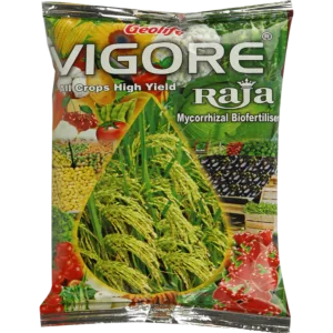 VIGORE RAJA