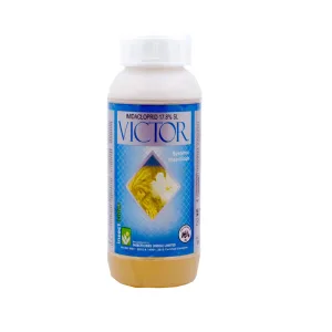Victor