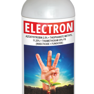 Electron