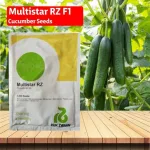 MULTISTAR RZ F1 CUCUMBER