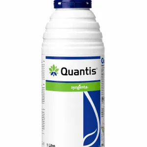 Quantis