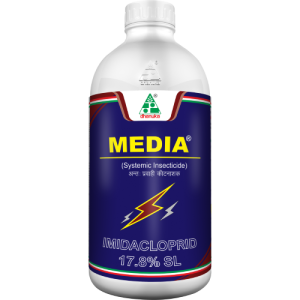 Media