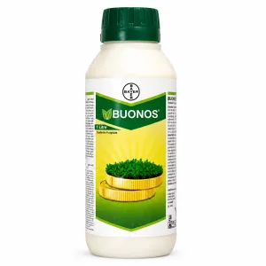 Buonos