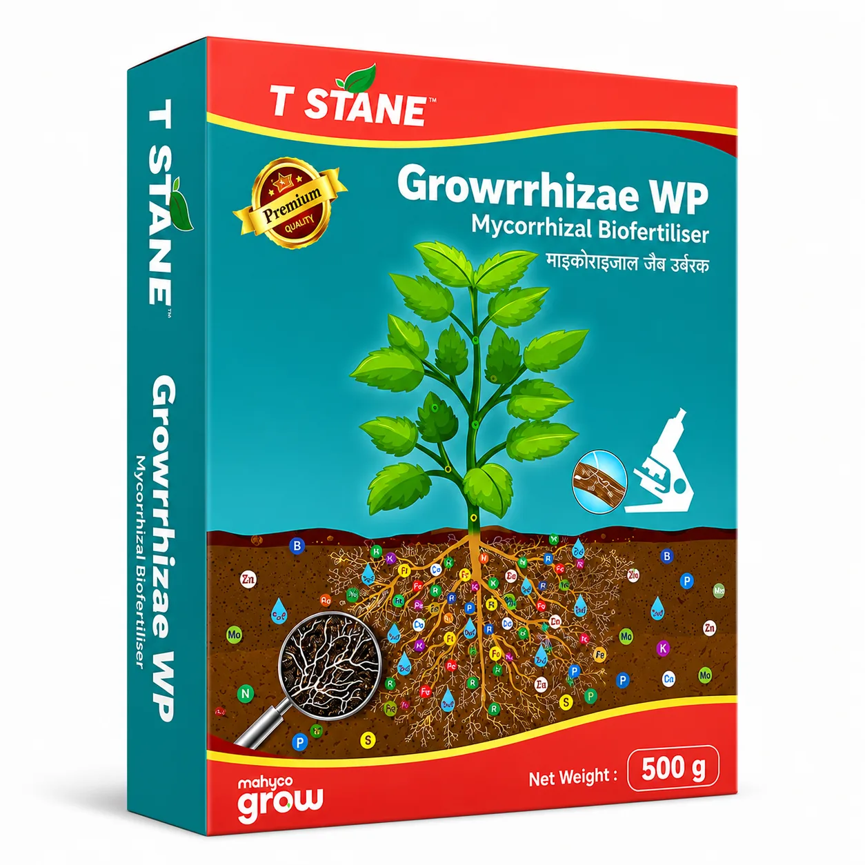Growrrhizae