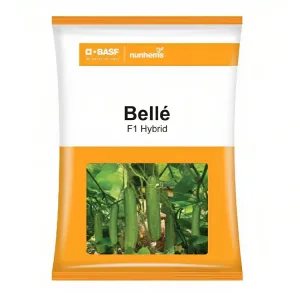 Anokhi basf