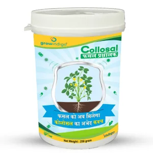 Collosal