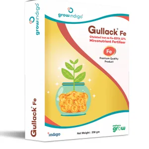 Gullack Fe