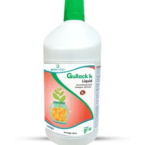 Gullack K Liquid