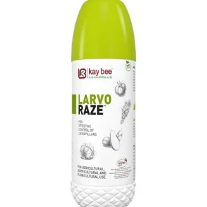 Larvo Raze