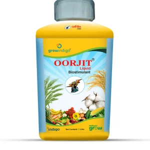 Oorjit Liquid