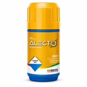 ALECTO