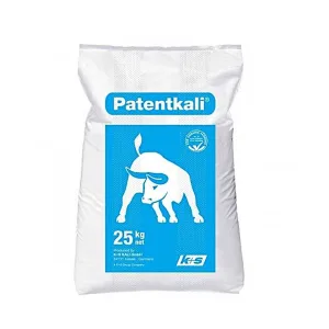PetantKali