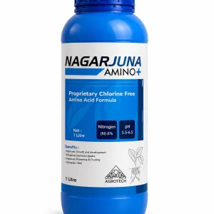 Amino Plus